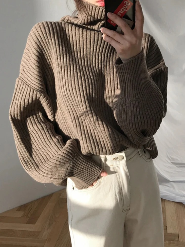 Oversize Thick Lined Turtleneck Jumper for Women | Ideal for Winter