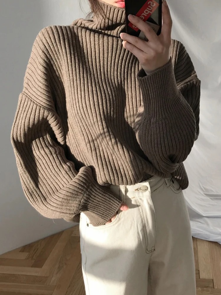 Oversize Thick Lined Turtleneck Jumper for Women |  Ideal for Winter