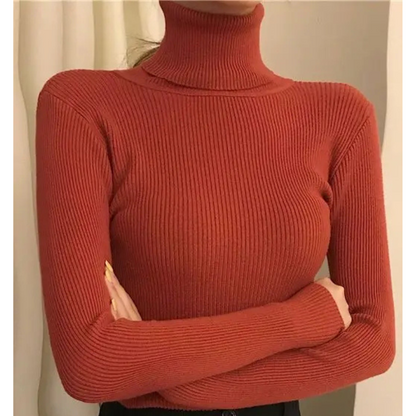 Women's Slim Fit Turtleneck Knitted Jumper | Ideal for Winter