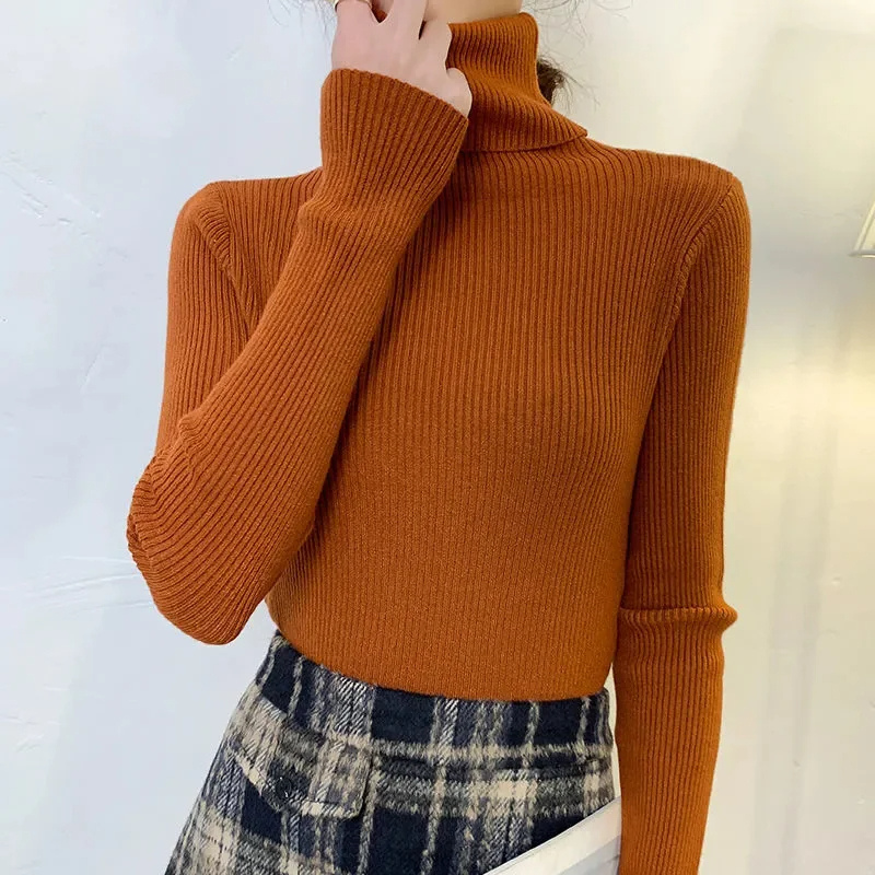 Women's Slim Fit Turtleneck Knitted Jumper | Ideal for Winter