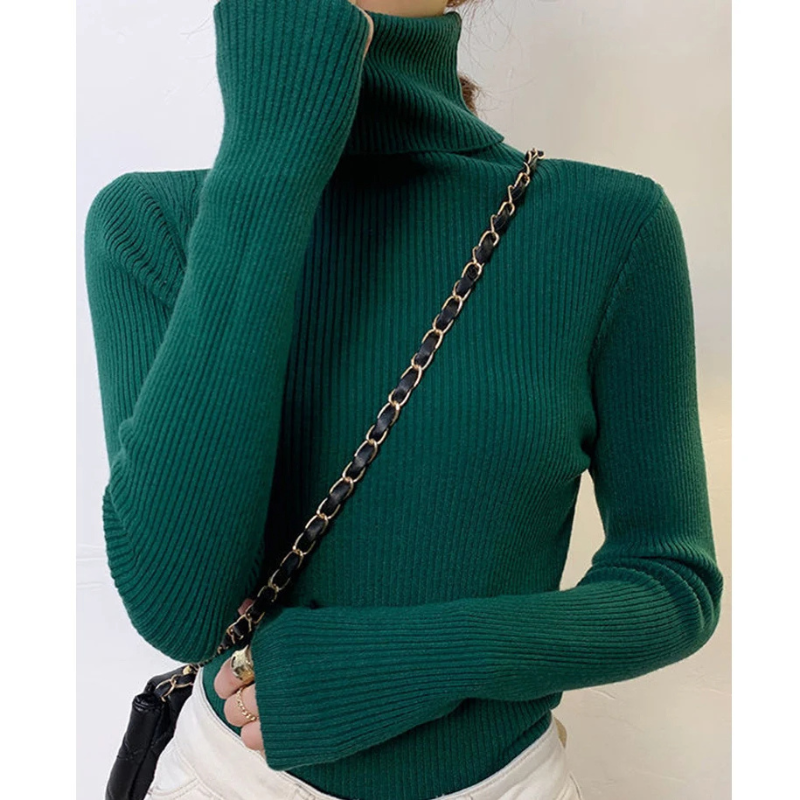 Women's Slim Fit Turtleneck Knitted Jumper | Ideal for Winter