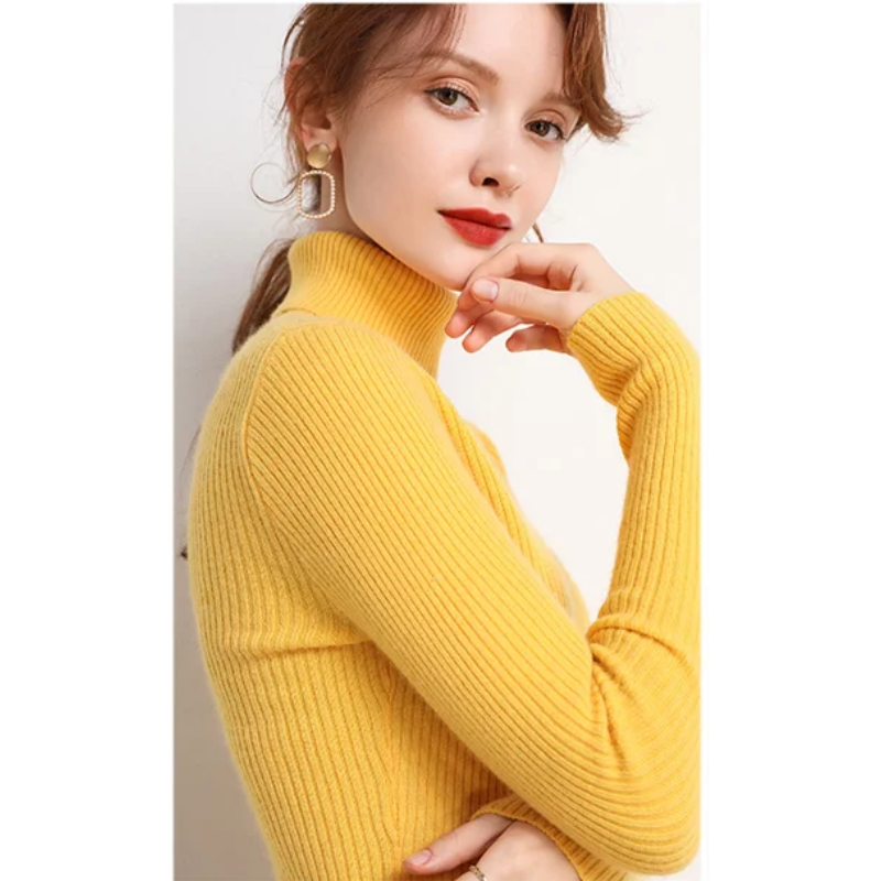 Women's Slim Fit Turtleneck Knitted Jumper | Ideal for Winter