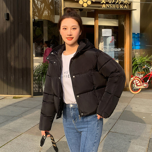 Winter Jacket With Short Warm Stylish For Women | Perfect for Everyday Wear