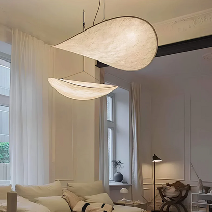 Ceiling Light Fixture – Unique Design for Indoor Lighting 0