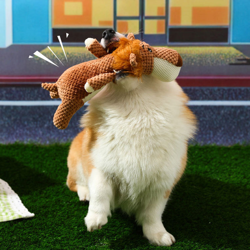 Durable Dog Toy – Plush Chew Toy for Active Play 3