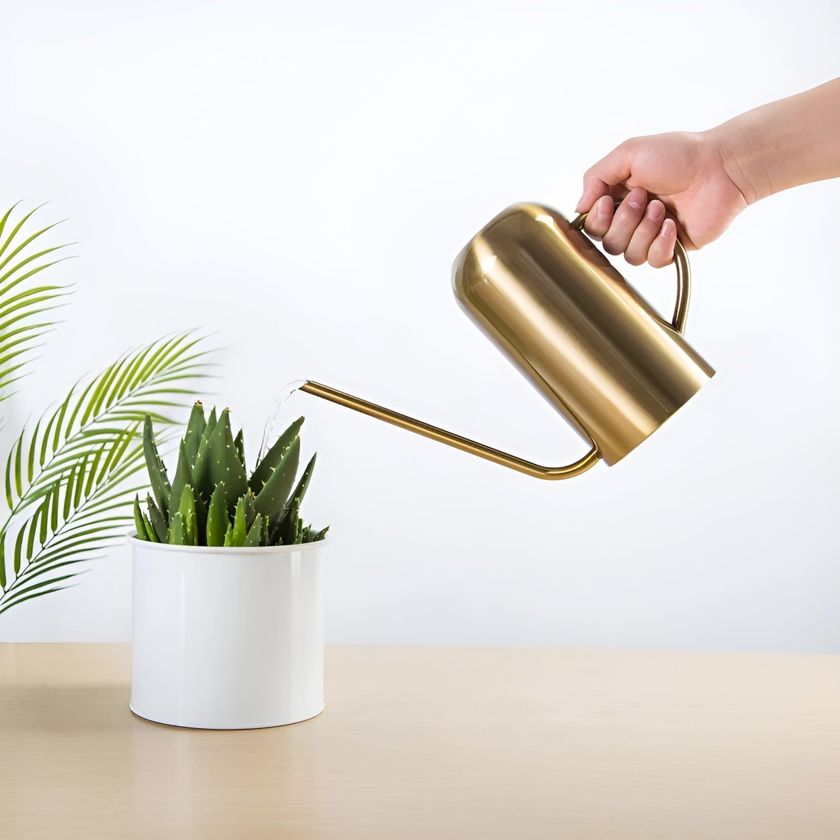 Indoor Metal Watering Can with Long Spout - 1.5L Capacity 3