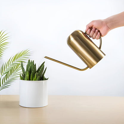 Indoor Metal Watering Can with Long Spout - 1.5L Capacity 3